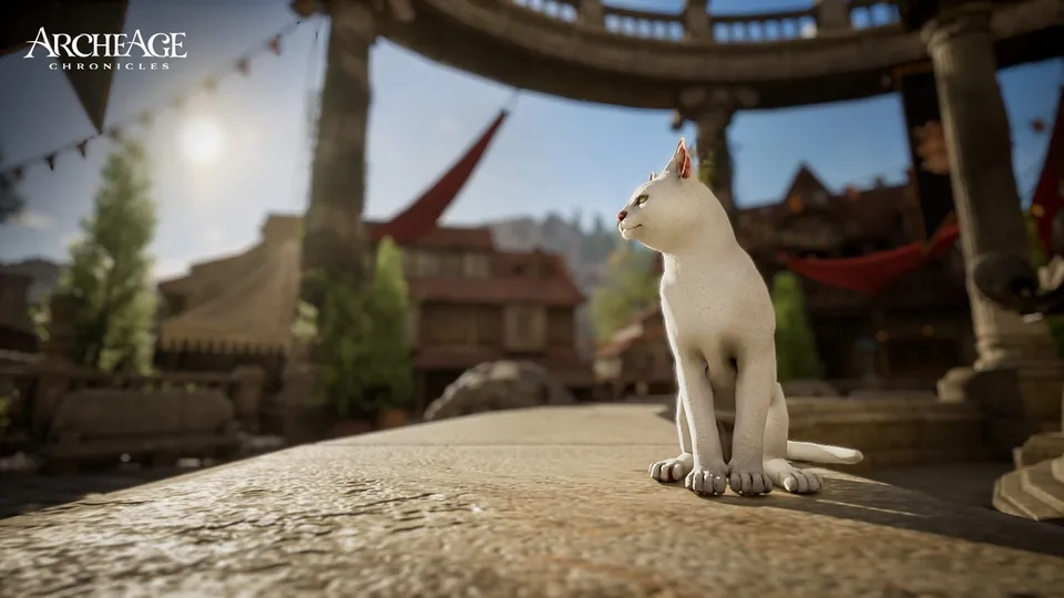 Gato blanco sentado en un pretil de piedra, con columnas y casas detrás.